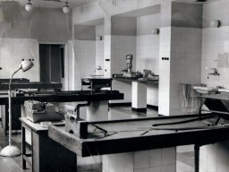 Prosektorium Zakładu Medycyny Sądowej w Lublinie, lata 60-te